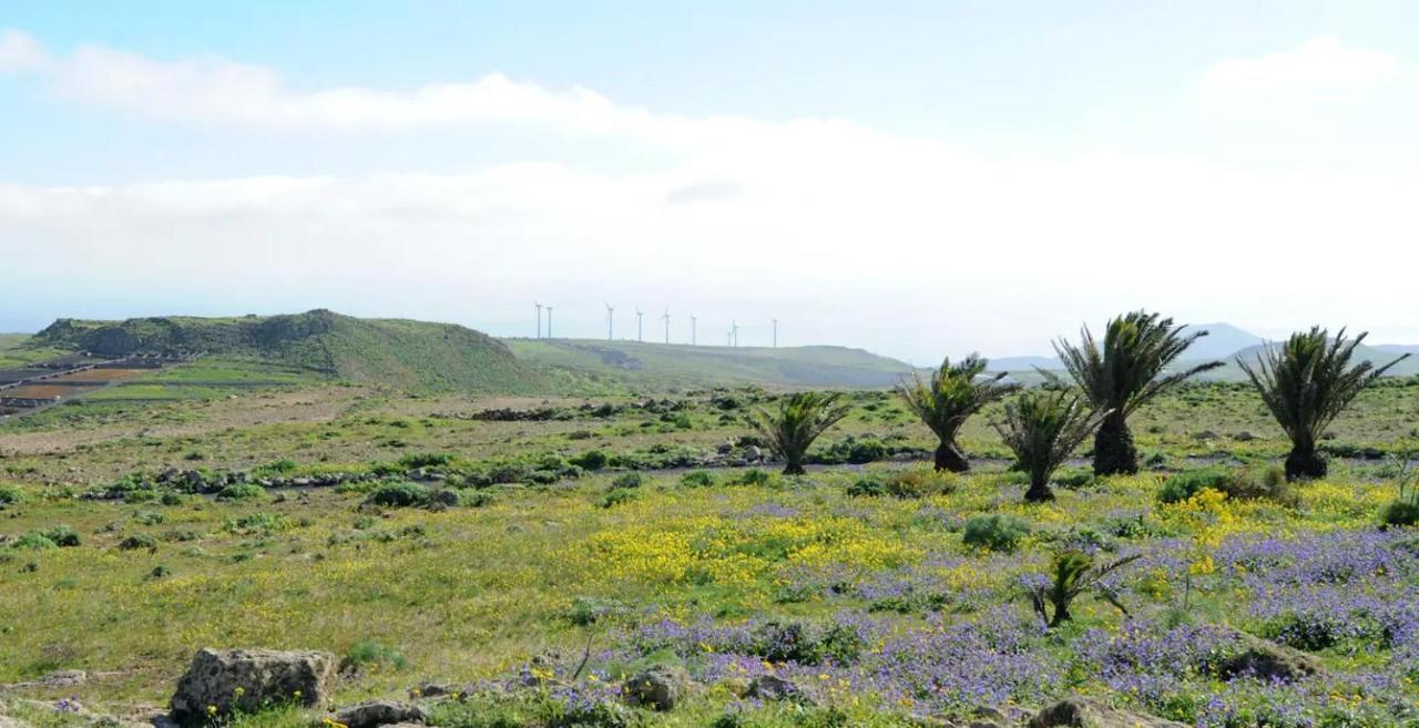 Las Nieves Suites تيغيسي المظهر الخارجي الصورة